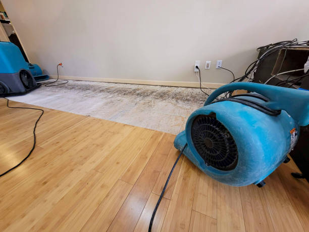 Professional Sewage Cleanup technician working in Grand Junction, TN